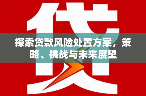 闸北探索贷款风险处置方案，策略、挑战与未来展望