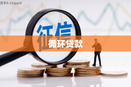 青羊循环贷款