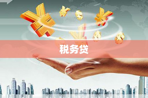 阜城税务贷