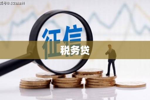 美浓税务贷