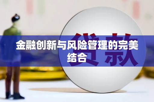 石龙金融创新与风险管理的完美结合
