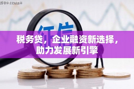 造桥税务贷，企业融资新选择，助力发展新引擎