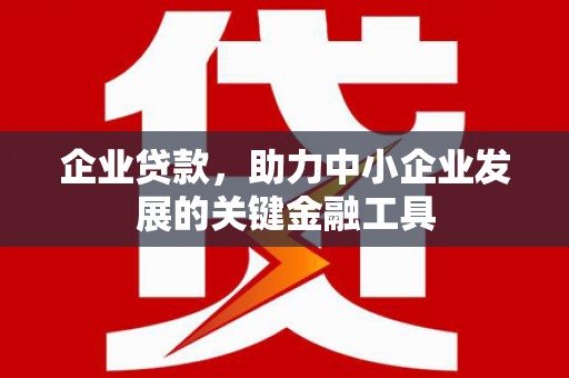 大关企业贷款，助力中小企业发展的关键金融工具