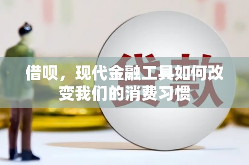凤山借呗，现代金融工具如何改变我们的消费习惯