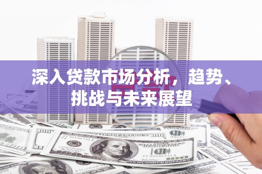 原阳深入贷款市场分析，趋势、挑战与未来展望
