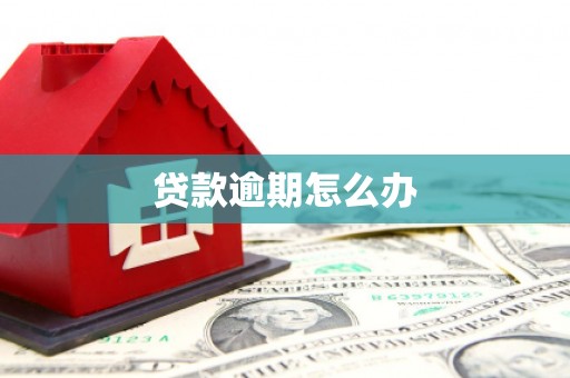 弋江贷款逾期怎么办