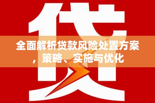 蕲春全面解析贷款风险处置方案，策略、实施与优化
