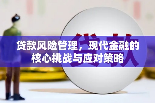 留坝贷款风险管理，现代金融的核心挑战与应对策略