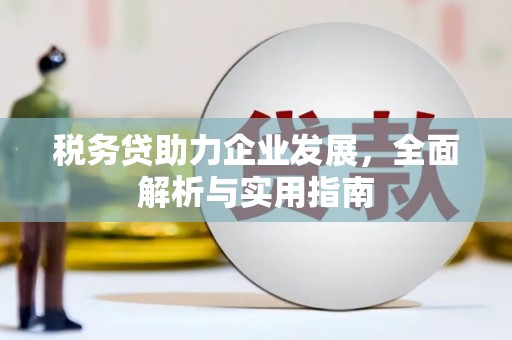 安仁税务贷助力企业发展，全面解析与实用指南
