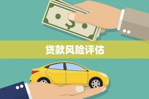 长寿贷款风险评估
