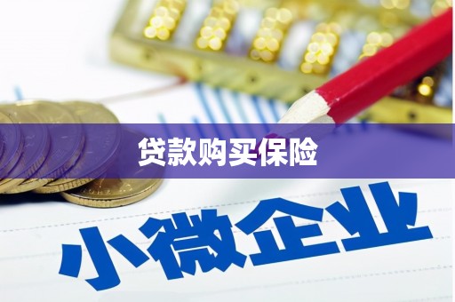 社旗贷款购买保险
