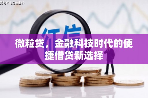 安次微粒贷，金融科技时代的便捷借贷新选择