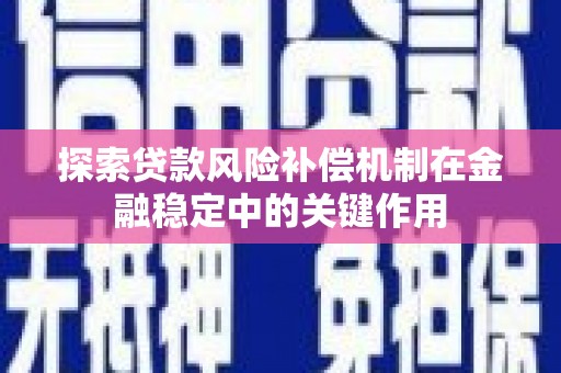 丁青探索贷款风险补偿机制在金融稳定中的关键作用