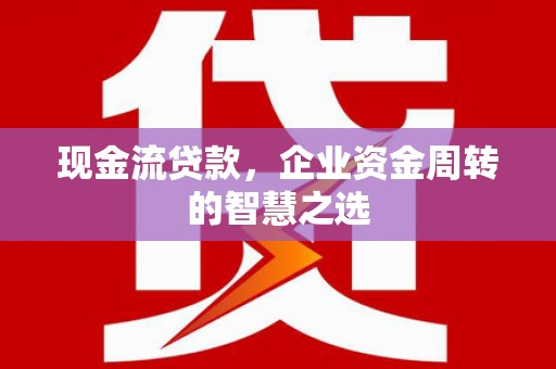 吴忠现金流贷款，企业资金周转的智慧之选