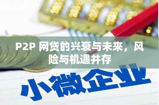 金沙P2P 网贷的兴衰与未来，风险与机遇并存