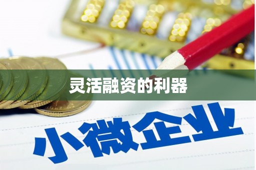蔡甸灵活融资的利器