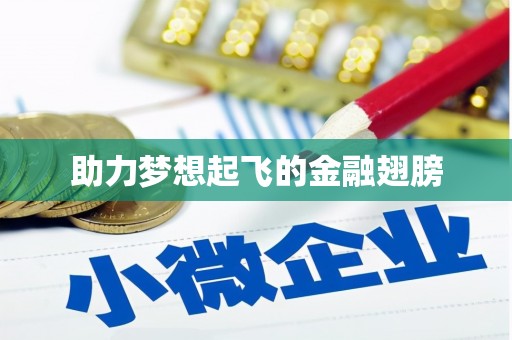 咸安助力梦想起飞的金融翅膀