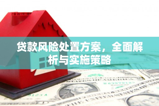 万源贷款风险处置方案，全面解析与实施策略