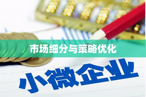 修文市场细分与策略优化