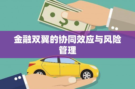 博爱金融双翼的协同效应与风险管理