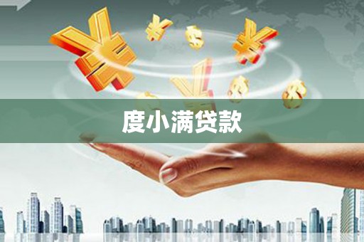 泸州度小满贷款