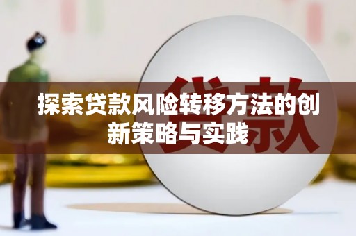 海兴探索贷款风险转移方法的创新策略与实践