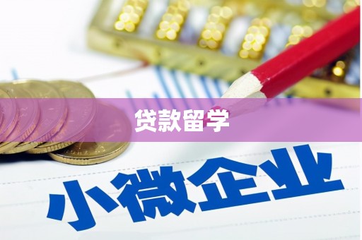 邵武贷款留学